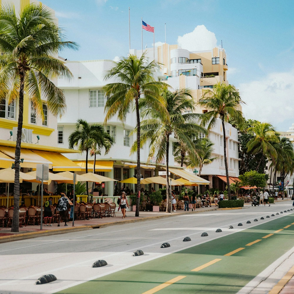 Palm-tree-lined street in Miami, Florida