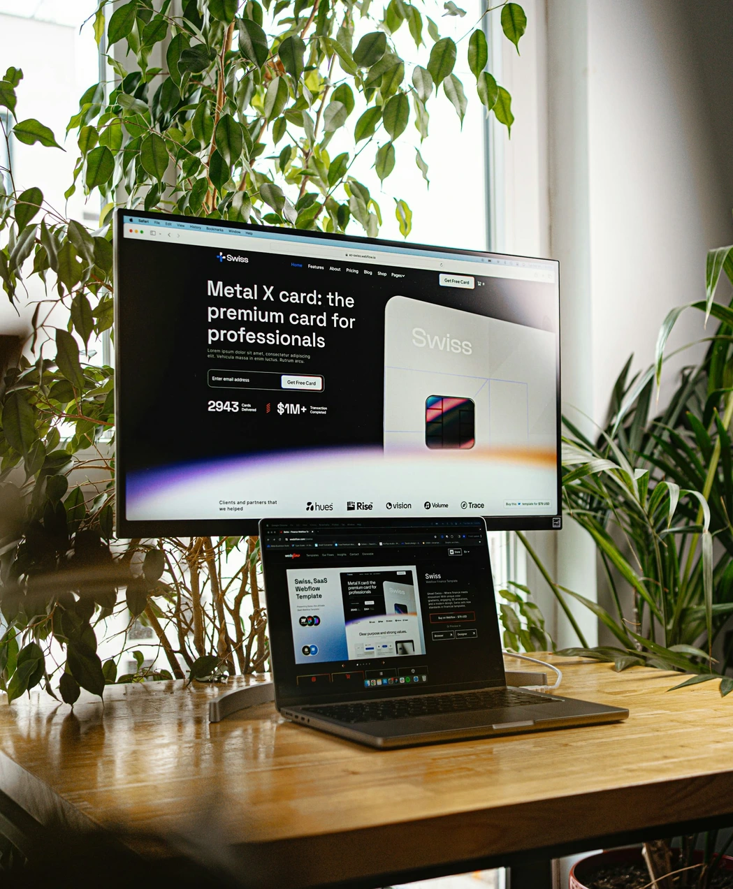 Website mockup shown on a laptop and monitor